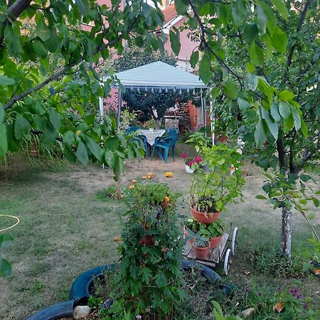 Apartman Drina Berilovac Ngoại thất bức ảnh